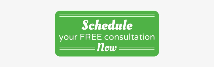 For A Limited Time, Universal Floral Office Plants - Schedule Your Free Consultation, transparent png #3018835