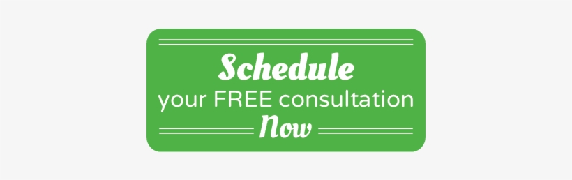 For A Limited Time, Universal Floral Office Plants - Schedule Your Free Consultation, transparent png #3018835
