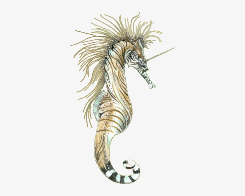 Caballitos Del Mar Gifs Imagenes - Seahorse, transparent png #3019265