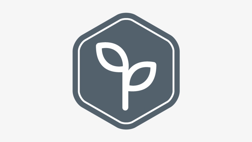 Our History Icon - Reims, transparent png #3019521