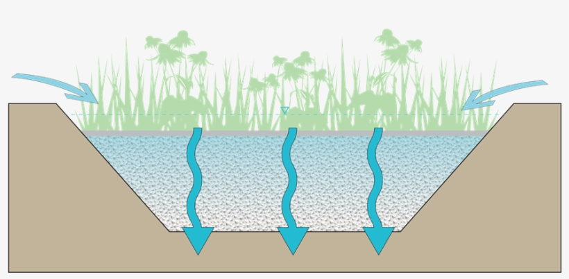 Bioinfiltration Icon - Icon, transparent png #3019661