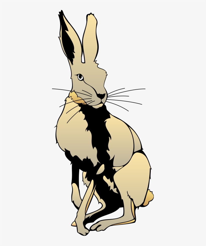 How To Set Use Hare Clipart - Hare Clipart, transparent png #3020073
