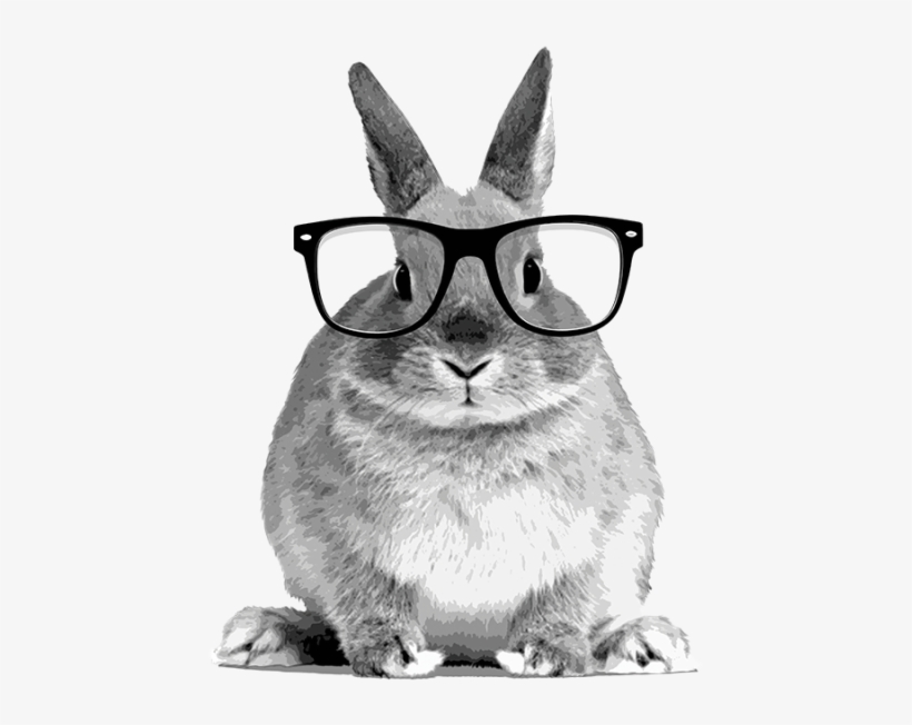 The Story Of The Hare Who Lost His Spectacles British - Rabbit Front, transparent png #3020578