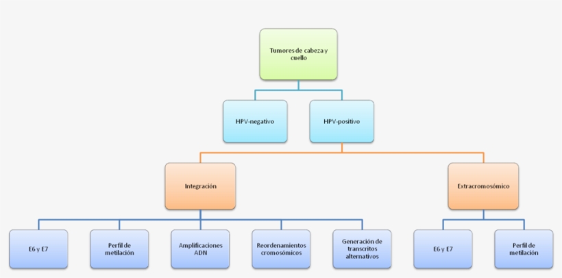 Mecanismos Del Virus Para La Inducción Del Proceso - Computer File, transparent png #3024241