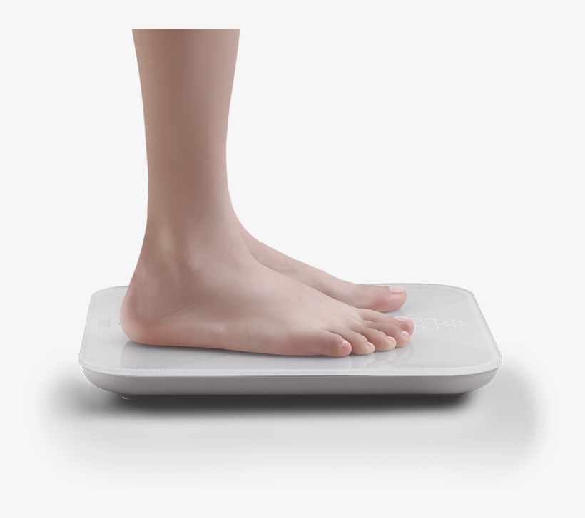 The Surface Of The Scale Measures Nearly Cm And The - Feet On Scale Png, transparent png #3024657
