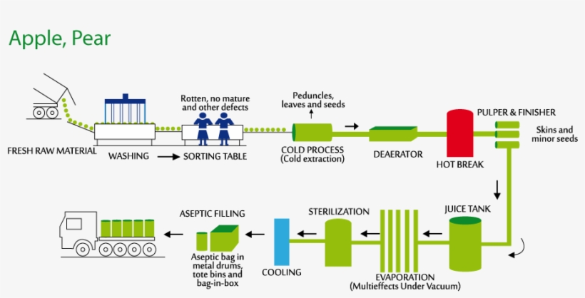 Procesos - Diagram, transparent png #3024725