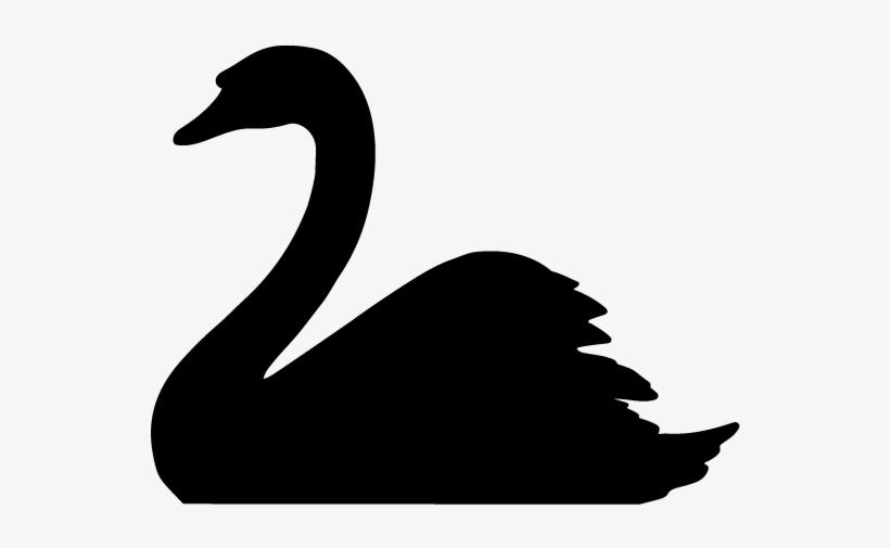 The Black Swan Event Donald Trump Needed To Win Was - Black Swan Png, transparent png #3026429