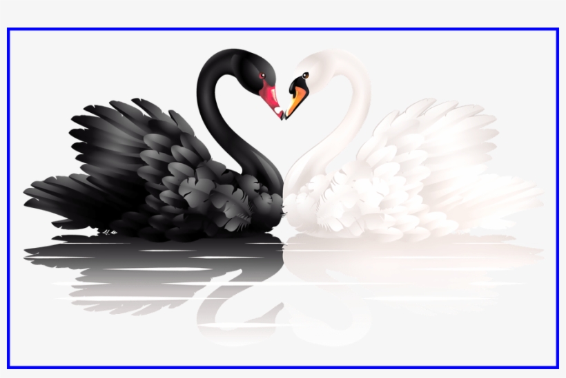 The Best White And Black With Heart Shape Png Clipart - Swan Png, transparent png #3026477