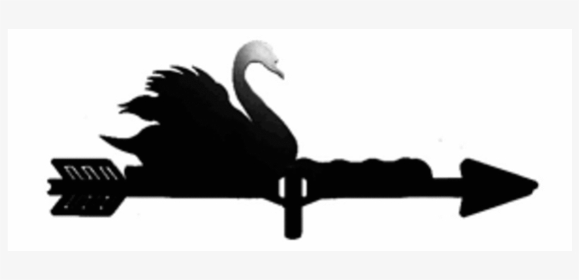 Horse, transparent png #3026874