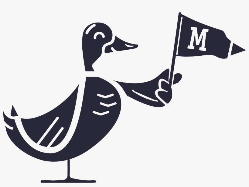 Duck, transparent png #3026952