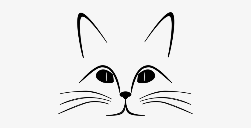 Cat Ears Eyes Face Feline Gaze Nose Whiske - Cat Face Drawing Png, transparent png #3027007