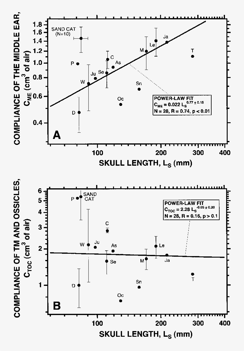 Acoustic Compliances Of The Sand Cat's Middle Ear Compared - Diagram, transparent png #3027148