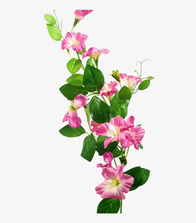 Petunia Stem Lisianthus & Morning Glory & Petunias - Prairie Gentian, transparent png #3027375