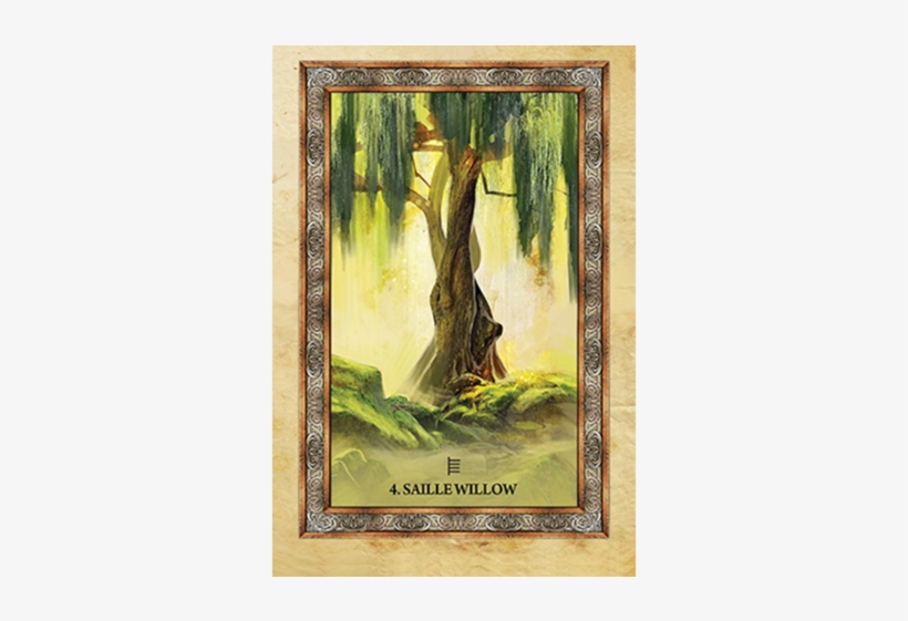 Celtic Tree Oracle - Celtic Tree Oracle By Sharlyn Hidalgo - Free  Transparent PNG Download - PNGkey