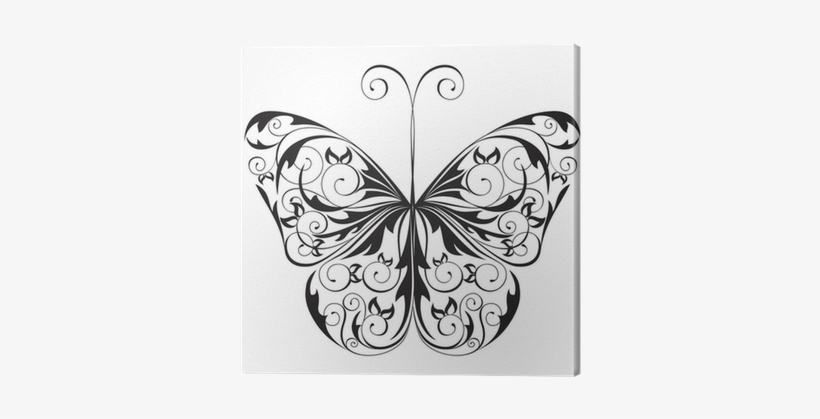 Black And White Butterfly, transparent png #3029092