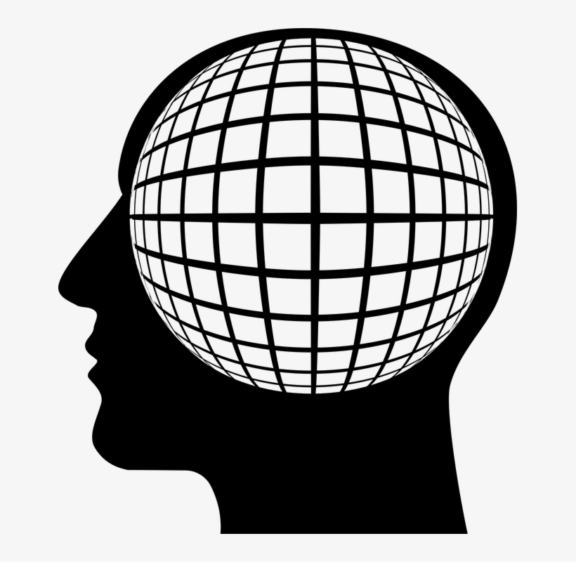 Cranium, Head, Human, Male, Man, People, Persons - Skull, transparent png #3029394