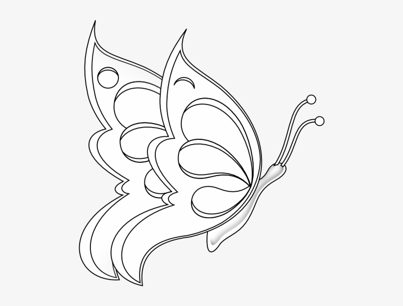 Butterfly 19 Black White Line Art 555px - Butterfly Sitting On A Flower Drawings, transparent png #3029485