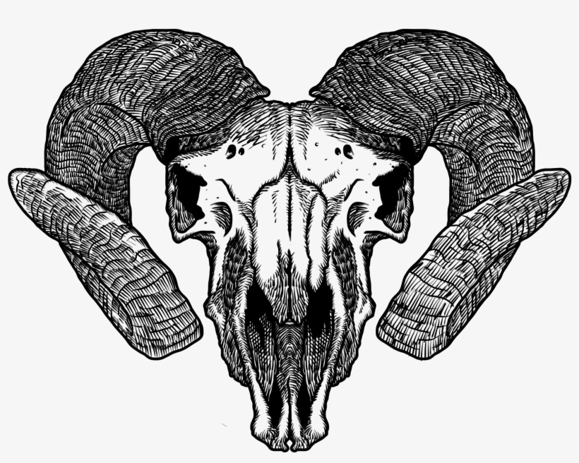 Saos Goat Skull 2012 08 09 03 - Goat Skull Transparent, transparent png #3029997