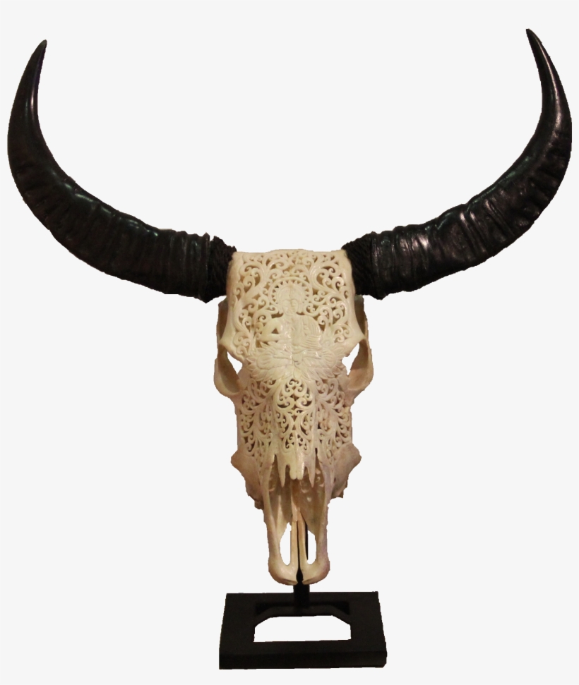 White Buffalo Head - White, transparent png #3030511