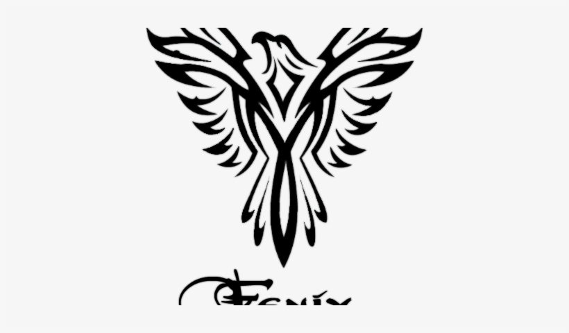 Fenix - Black And White Eagle Drawings, transparent png #3030830