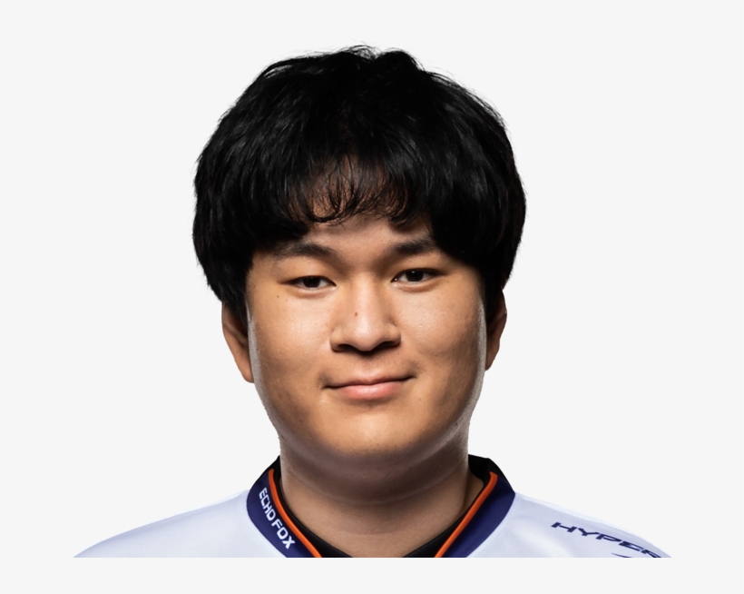 Fenix, transparent png #3031509