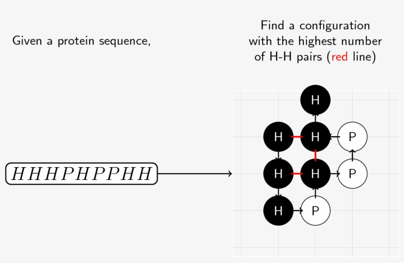 Given A Protein Sequence Made Up Of H And P “molecules,” - Diagram, transparent png #3032315
