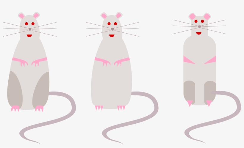 Original Png Clip Art File Three Different Rats Svg, transparent png #3034489