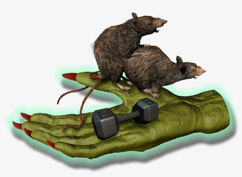 Big Fitness Goblin Rats - Punxsutawney Phil, transparent png #3034782