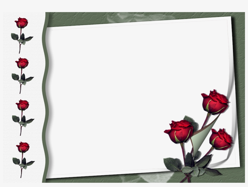 Rose Frames, transparent png #3035677
