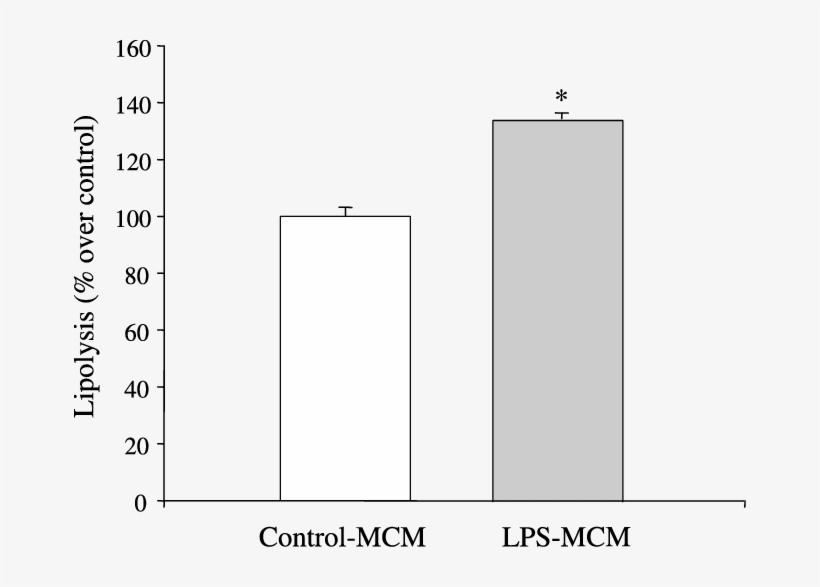 Effect Of Macrophage-conditioned Media In Rainbow Trout - Health, transparent png #3036803