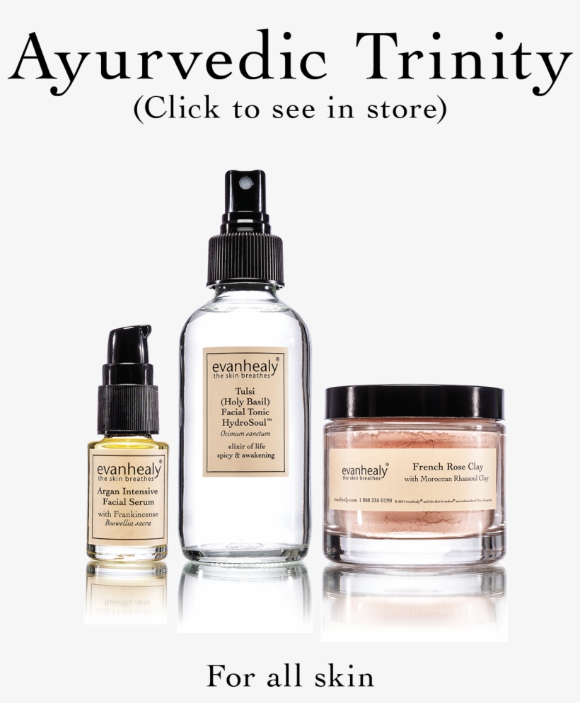 Tulsi Facial Tonic Hydrosoul 120ml Tonic By Evan Healy, transparent png #3037760