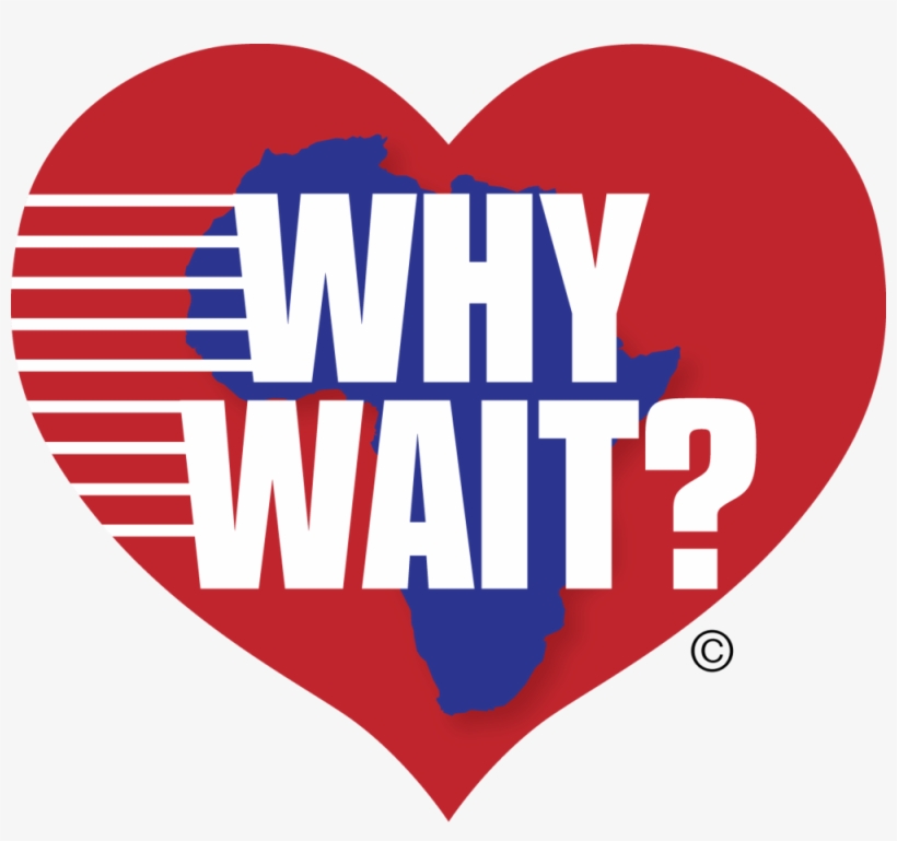 Whywaitlogo - Wait? What You Need To Know, transparent png #3038459