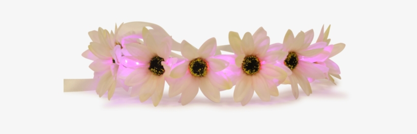 Light Up Flower Crown-littlelightlab - Flower Head Band Png, transparent png #3038898