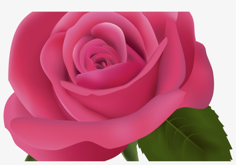 19 Rose Image Library Library Transparent Background - Pink Flower Transparent Background, transparent png #3038940
