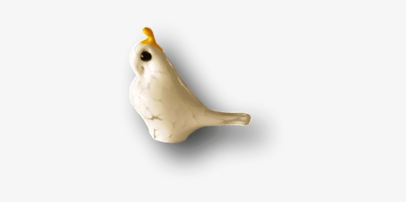 James Dodson ~ Cockatoo - Gallery Salamanca, transparent png #3039101