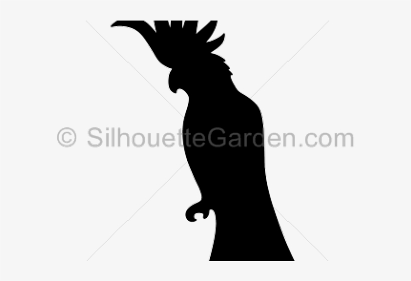 Cockatoo, transparent png #3039218