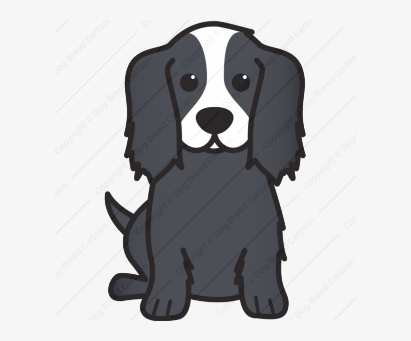 Cavalier King Charles Spaniel - Dog, transparent png #3039245