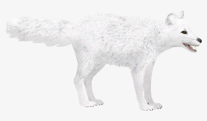 Arctic Fox Winter - Arctic Fox Zt2, transparent png #3039362