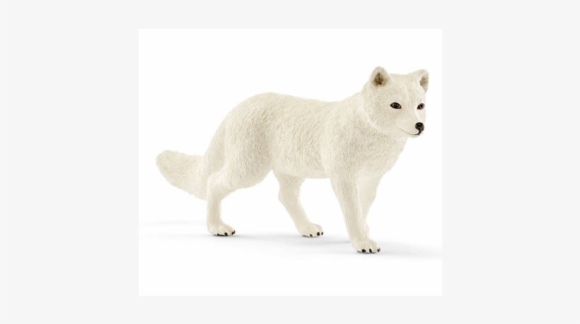 Arctic Fox, transparent png #3039376