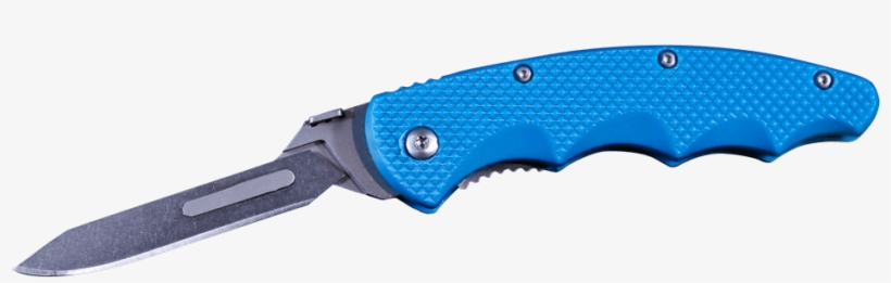 Wiebe's Arctic Fox - Utility Knife, transparent png #3039568