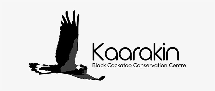 Kaarakin Black Cockatoo Conservation Centre, transparent png #3039653