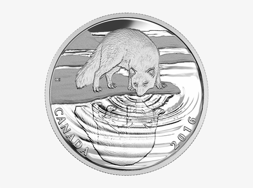 Reflections Of Wildlife - 2016 Fine Silver 10 Dollar Coin - Reflections, transparent png #3039921