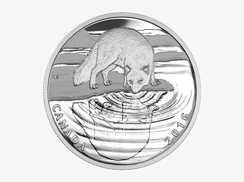 Reflections Of Wildlife - 2016 Fine Silver 10 Dollar Coin - Reflections, transparent png #3039921