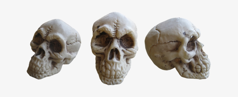 Skull-093 - Portable Network Graphics, transparent png #3039923