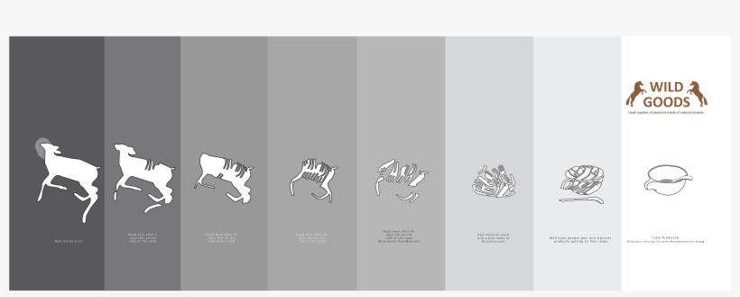 Download Images - Jaguar, transparent png #3039992