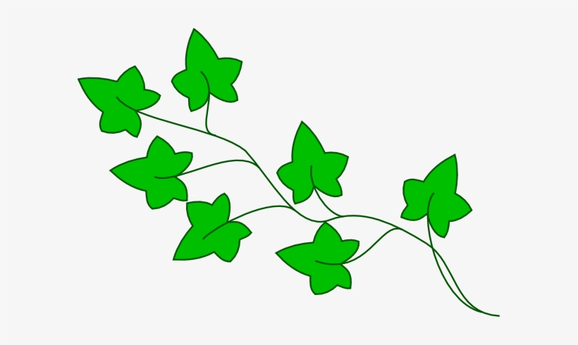 Ivy Vine Clip Art At Clker Com Vector Clip Art Online - Clip Art, transparent png #3041253