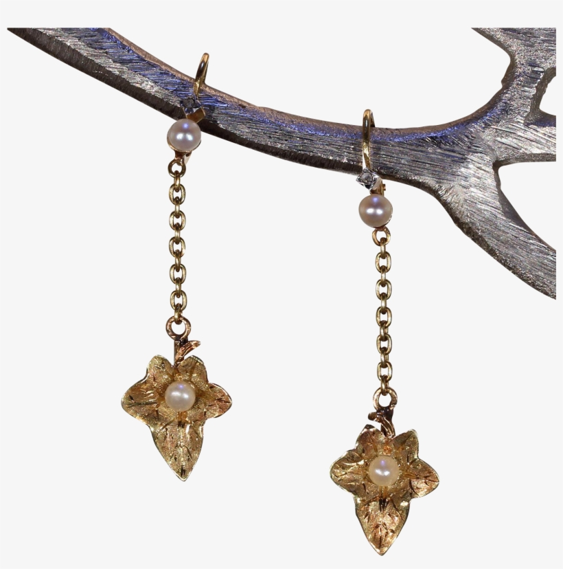 Antique French Ivy Leaf Earrings Back To Front - Earring, transparent png #3041468