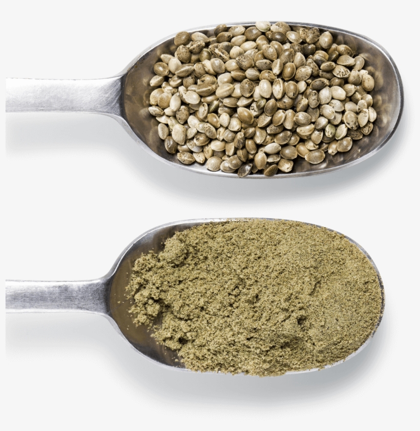 Flavor And Texture Enhancement - Ingredients In Spoon Png, transparent png #3041472