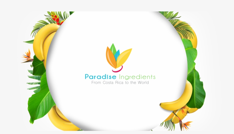 Slide-00 - Paradise Ingredients, transparent png #3041611