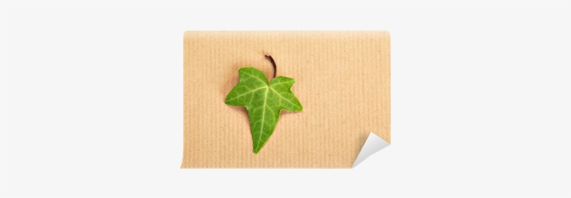 Decorative Ivy Leaf On A Background Of A Wrapping Paper - Paper, transparent png #3041655
